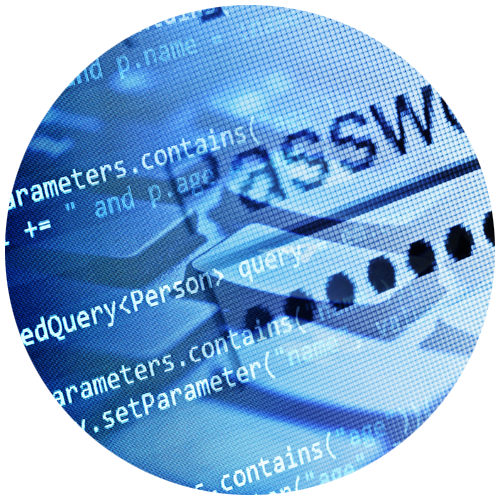 Circle with the word Password and computer code inside circle