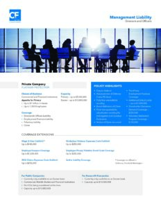 Directors & Officers Overview